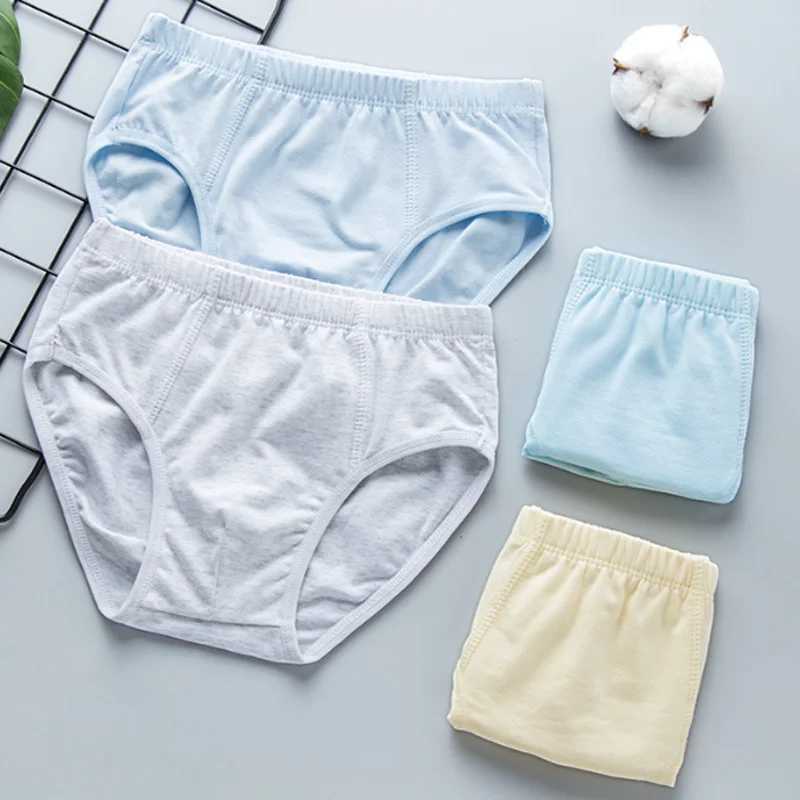 2Pcs/lot new childrens underwear cotton boy briefs underwear Y240821