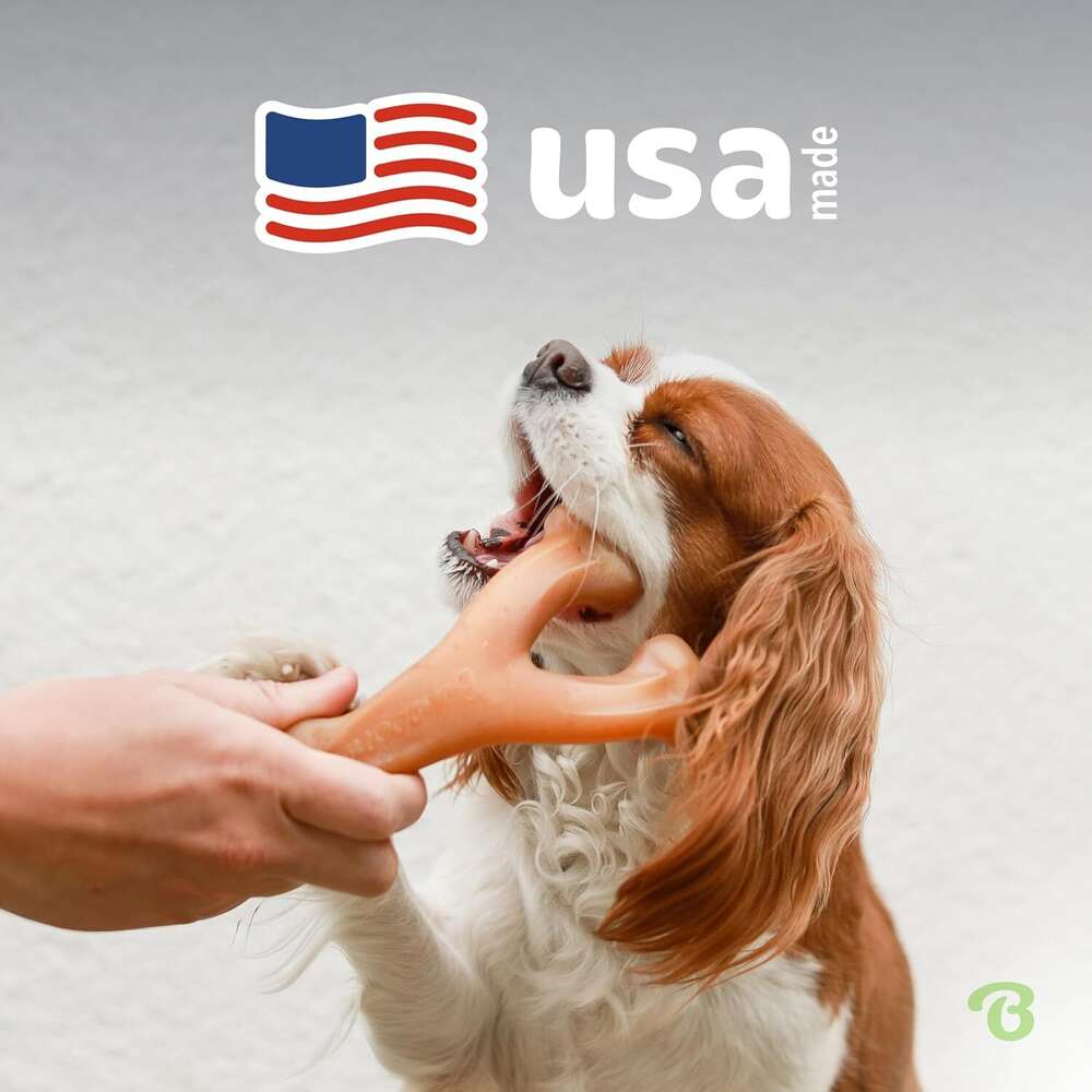 Benebone bone Durable Dog Chew Toy for Aggressive Chewers, Real Bacon, Made in USA, Medium
