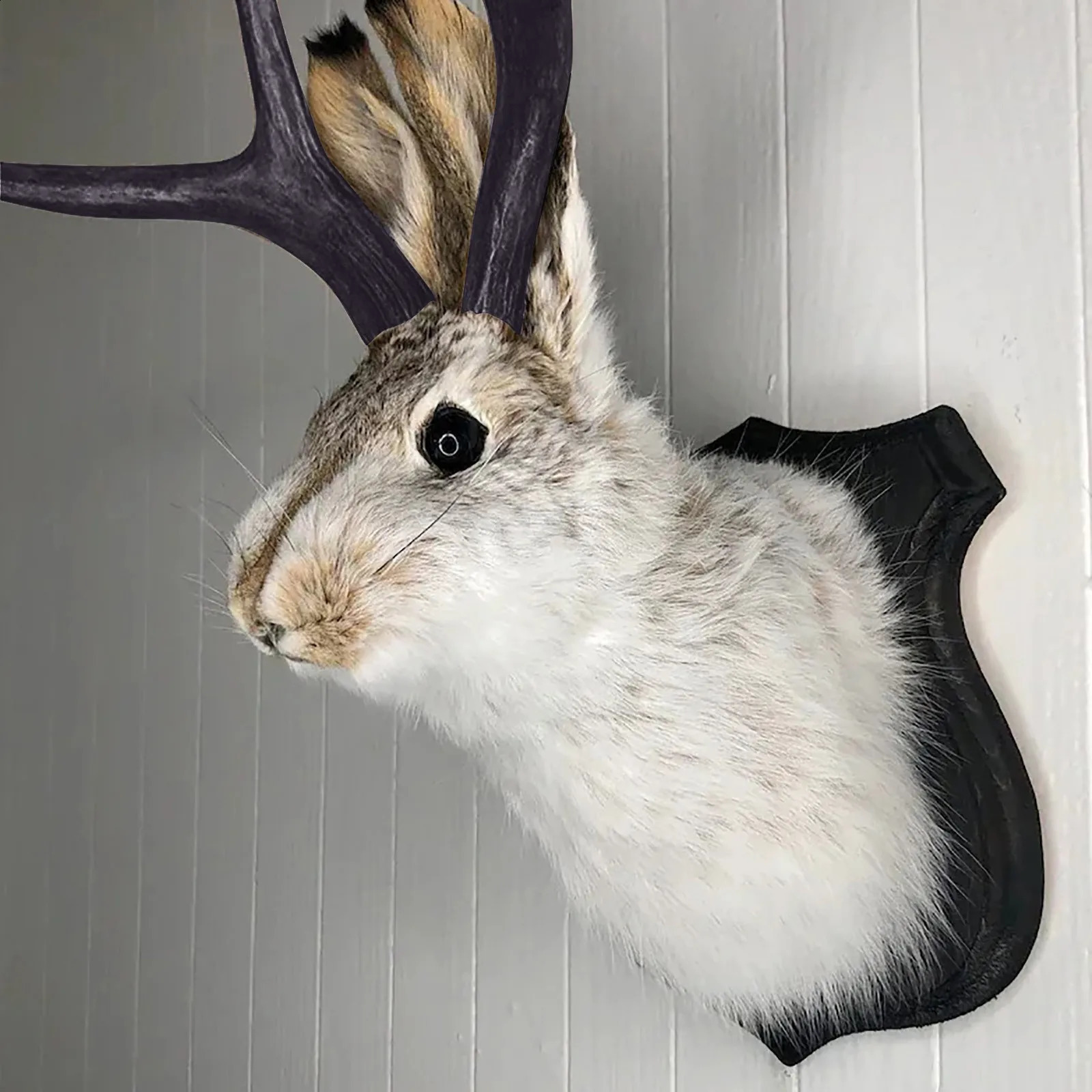 Taxidermy Head Wall Decor Deer Head Wall Mount Deer Head Wall Mount used for home wall decoration. Rabbit Decorative Wall 240820
