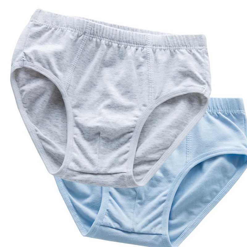 2Pcs/lot new childrens underwear cotton boy briefs underwear Y240821