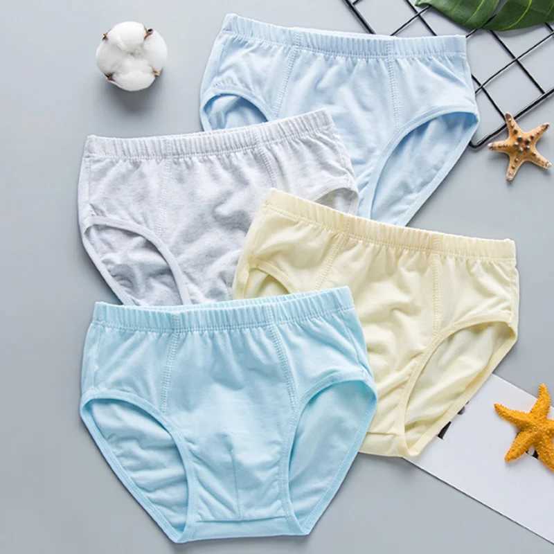 2Pcs/lot new childrens underwear cotton boy briefs underwear Y240821
