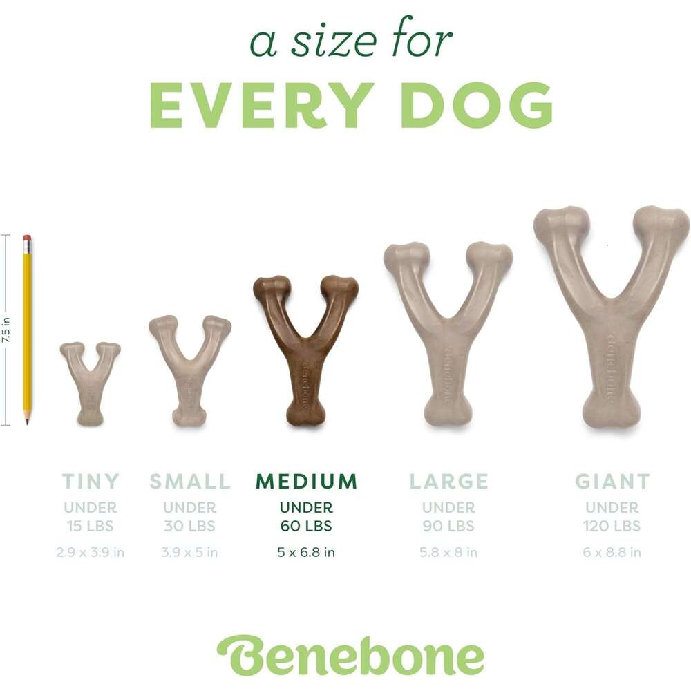 Benebone bone Durable Dog Chew Toy for Aggressive Chewers, Real Bacon, Made in USA, Medium