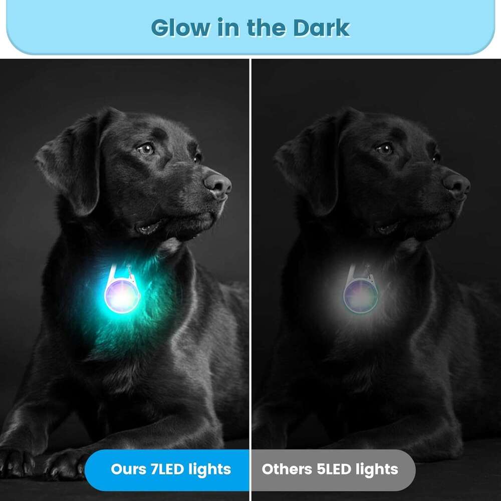 k LED Rechargeable Collar Clip on with RGB Color Pet Safety Lights up Lighted Dog Harness Light for Night Walking Camping