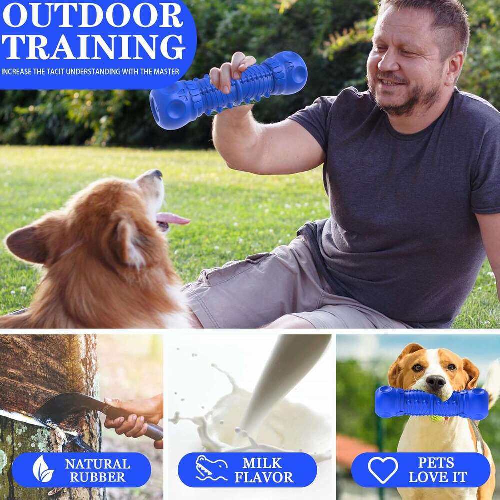 ZIKATON Squeaky Aggressive Chewers, Chew Large Medium Breed Dog, Dog Toys, Tough Durable Dogs Toys with Natural Rubber (Bule D, for Larege Dogs)