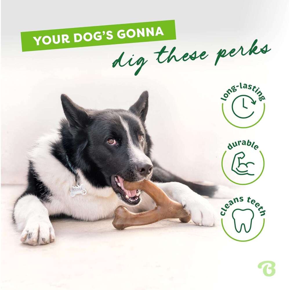 Benebone bone Durable Dog Chew Toy for Aggressive Chewers, Real Bacon, Made in USA, Medium