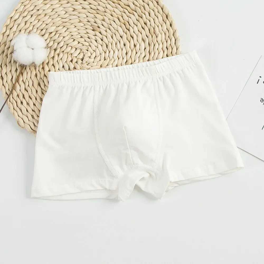 3Pcs/Lot Children Underwear Solid Color White Shorts Cotton Big Boy Boxer Panties Boys Underwear Briefs Toddler Underpants Y240821