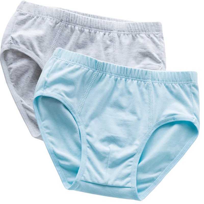 2Pcs/lot new childrens underwear cotton boy briefs underwear Y240821