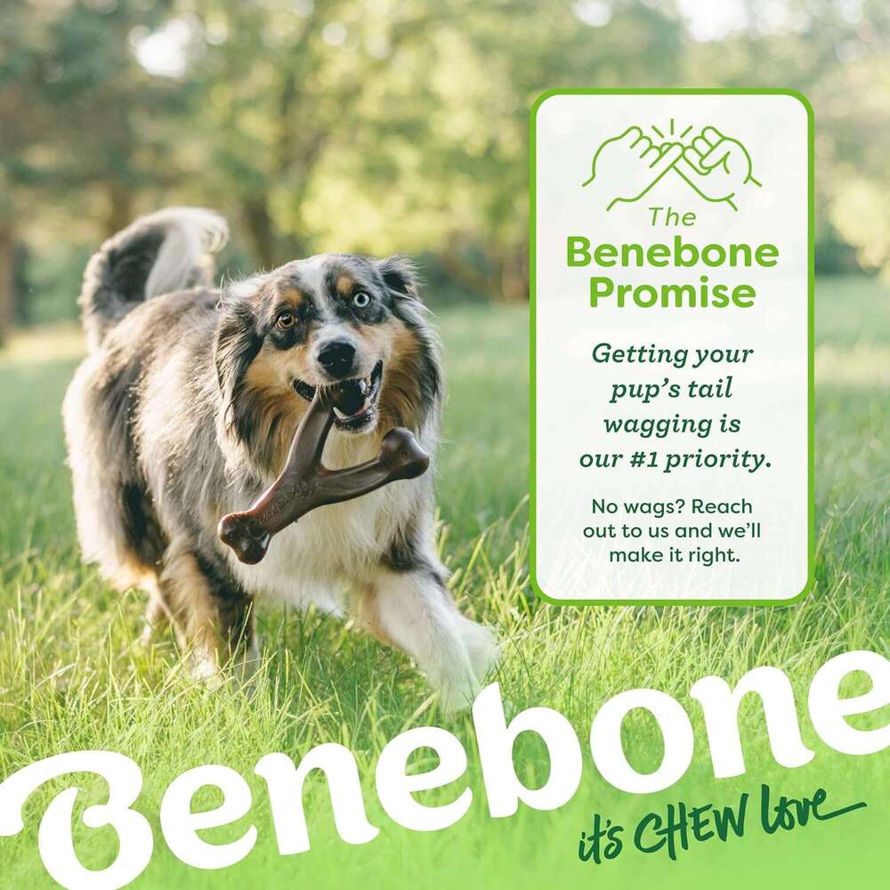 Benebone bone Durable Dog Chew Toy for Aggressive Chewers, Real Bacon, Made in USA, Medium