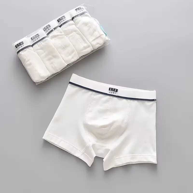 5PC/Pack Children Underwear Boys Panties Cotton Boxer Boy Shorts Baby Panties Kids Underwear 2-16Years Y240821