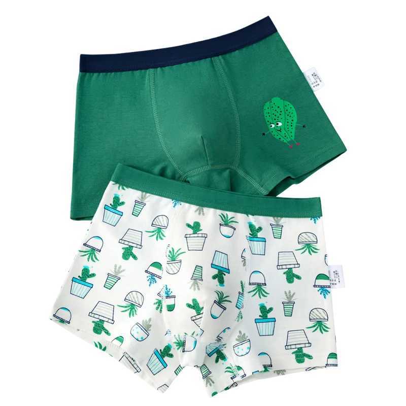 2Pcs/Lot Boys Underwear Boxer Elephant Dinosaur Design Kids Cotton Briefs Childrens Panties Soft Shorts 2-14Y Y240821