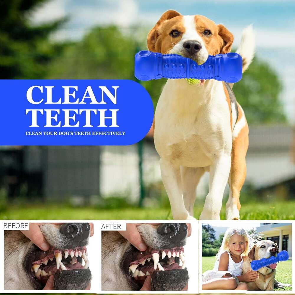 ZIKATON Squeaky Aggressive Chewers, Chew Large Medium Breed Dog, Dog Toys, Tough Durable Dogs Toys with Natural Rubber (Bule D, for Larege Dogs)