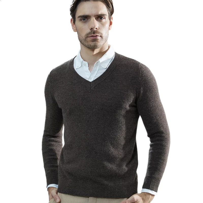 Cashmere Sweater Men Knitted Sweaters 100% Pure Merino Wool V-Neck Long-Sleeve Thick Pullover Winter Autumn Male Jumper Clothing 240821