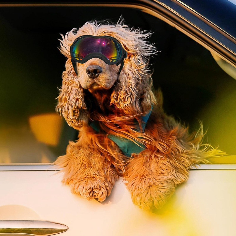 Dog Goggles for Small Large Dogs, UV Protection Dog Sunglasses Large Breed, Adjustable Strap, Windproof, Dustproof, Anti-Fog Eye Protection Puppy Sung