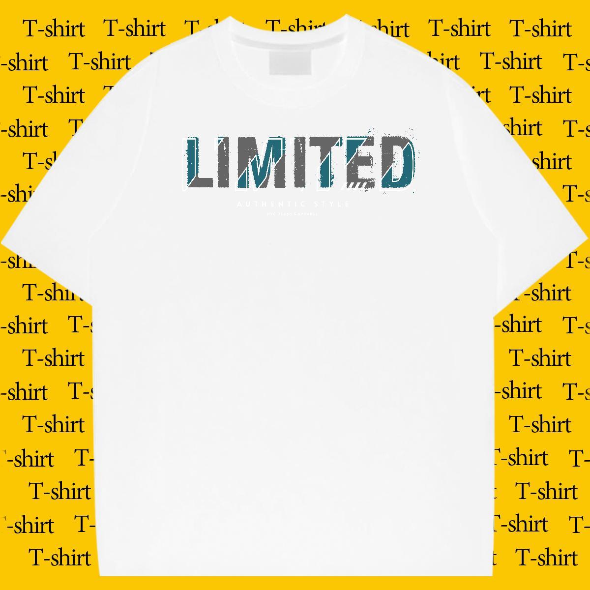 Stylist Casual Beach Men Tshirts limited Breathable Soft 230g Pure Cotton T shirt Loose Fit Custom Printed Tees Shirts