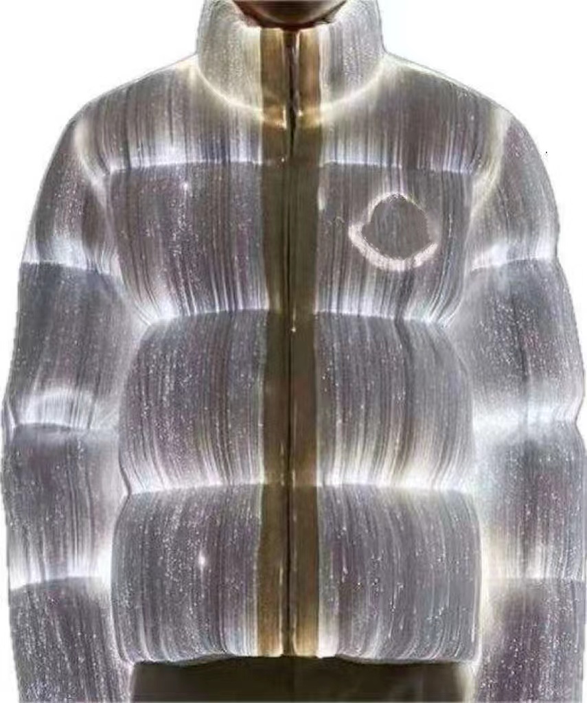 Men's Luminous Down Jacket with Stand Collar, High Street Style, Contrived Hoodie, Designer Jacket