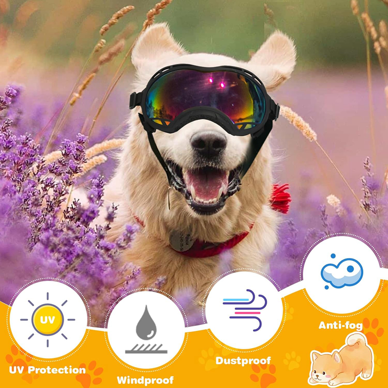 Dog Goggles for Small Large Dogs, UV Protection Dog Sunglasses Large Breed, Adjustable Strap, Windproof, Dustproof, Anti-Fog Eye Protection Puppy Sung