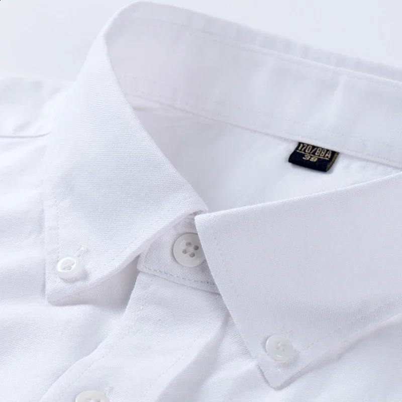plus size 100%cotton long-sleeve shirts for men Casual solid plain shirt slim fir formal shirt business office Oxford clothes 240822