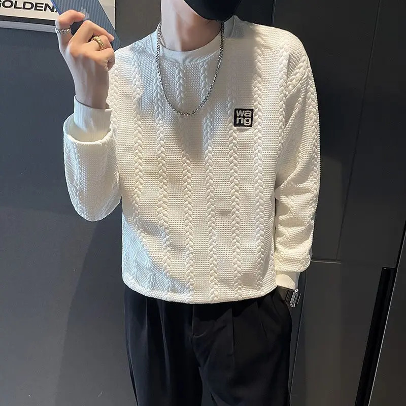 Mens Spring Autumn Fashion Simple Solid Color Pullover Round Neck Letter Casual Versatile Long Sleeve Loose Sweater Knit Tops 240821