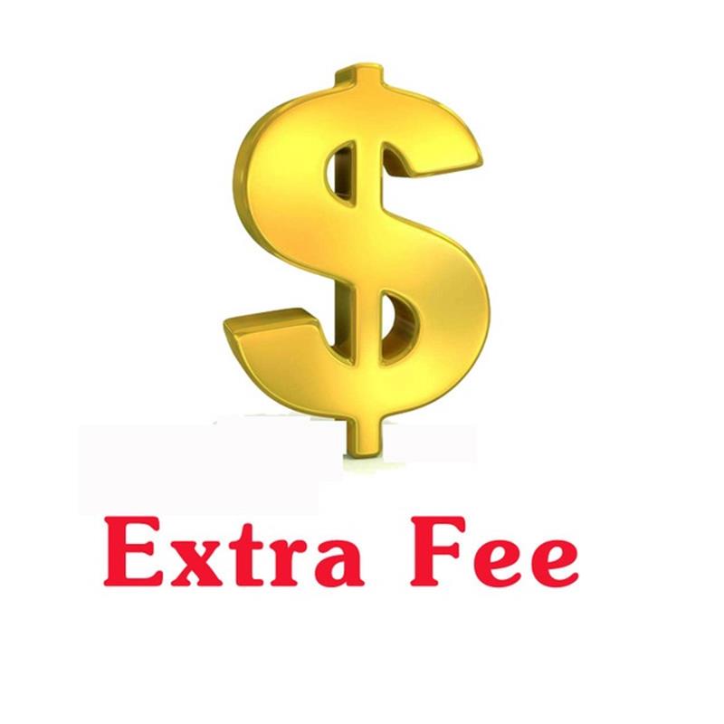 Additional Pay Extra Fee for your Order as Discussed Payment links For Shoes Jersey Caps Other Sporting Goods patches box or Make up Price Difference 