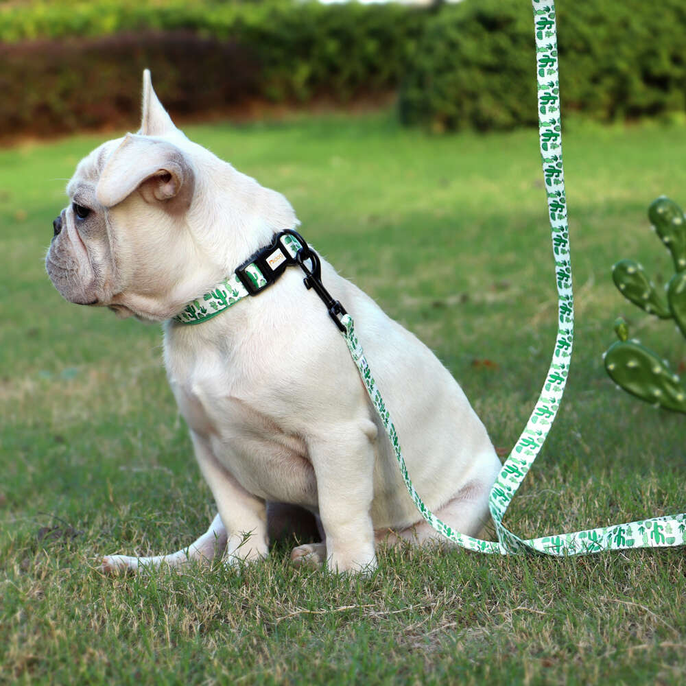 Print Nylon Dog Collar and Set Adjustable Puppy Collars Soft Pet Necklace Walking Leash For Small Medium Dogs Cats Bulldog