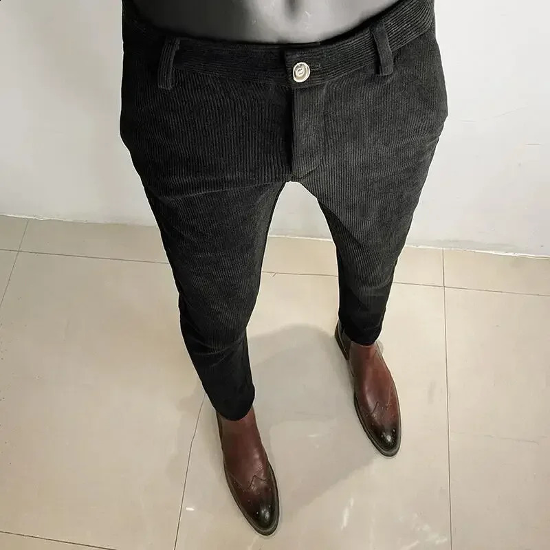 Autumn winter thick wool suit pants high-quality mens clothing business ultra-thin stripes Trouser formal clothing office social dresses pants 240822