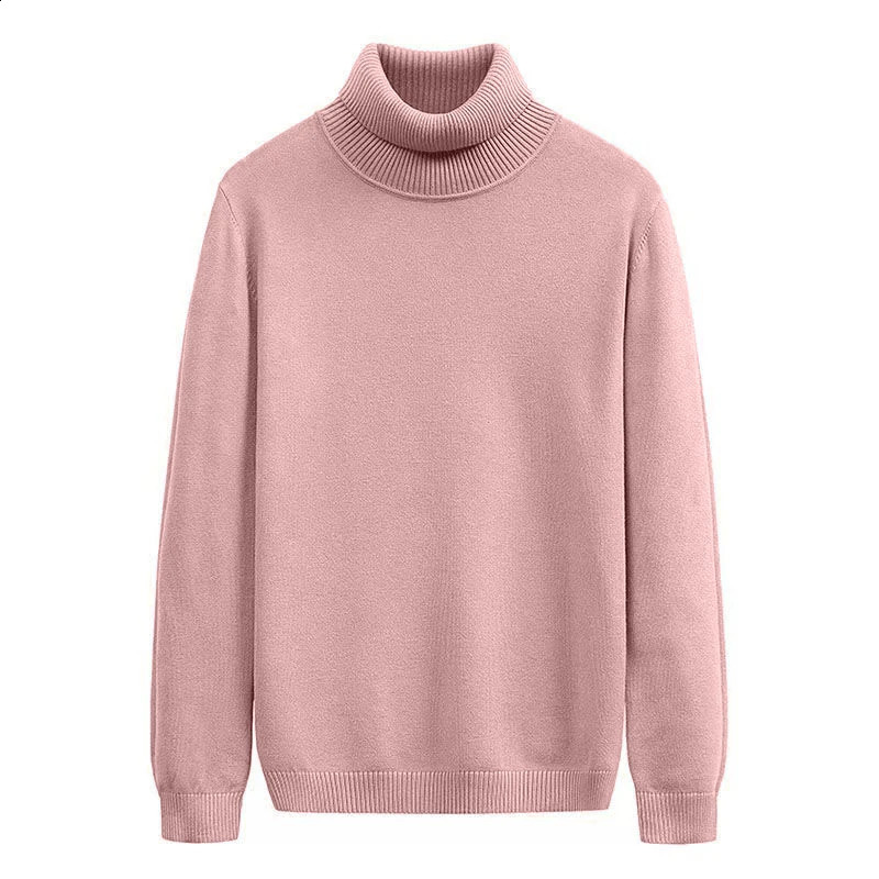 Mens Sweater Turtleneck Knit Sweaters Casual Pullover Sweater for Men Long Sleeve Basic Sweater Men Autumn Warm Streetwear 240821