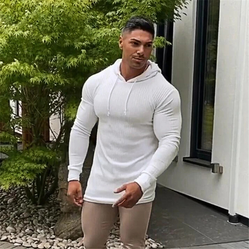 Fashion Winter Hooded Sweater Men Warm Turtleneck Mens Sweaters Slim Fit Pullover Classic Sweter Knitwear Pull Homme 240815