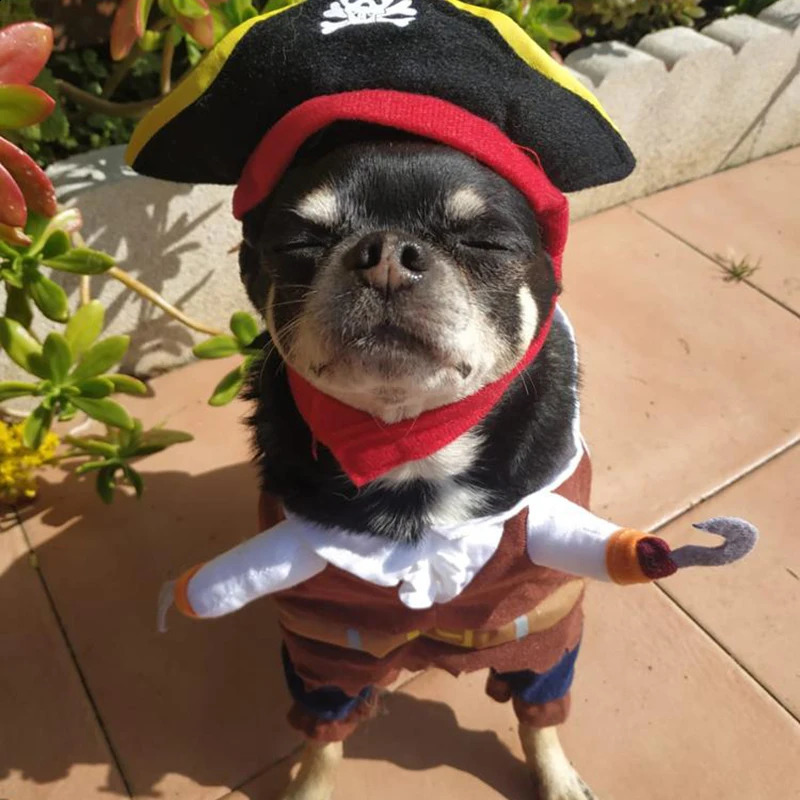 Funny Halloween Pet Dog Costumes Pirate Suit Cosplay Clothes For Small Medium Dogs Cats Chihuahua Puppy Clothing Pet Products 240823