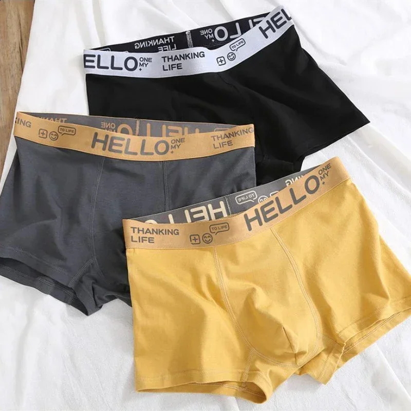 Mens Underwear Soft Cotton Boxing Comfortable Breathable Youth Sports 240822