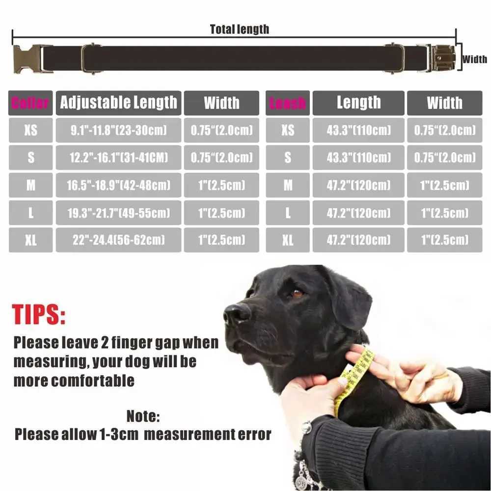 Personalized pet collar customized puppy name tag adjustable buckle strong black chrysanthemum basic collar lead strap X250326