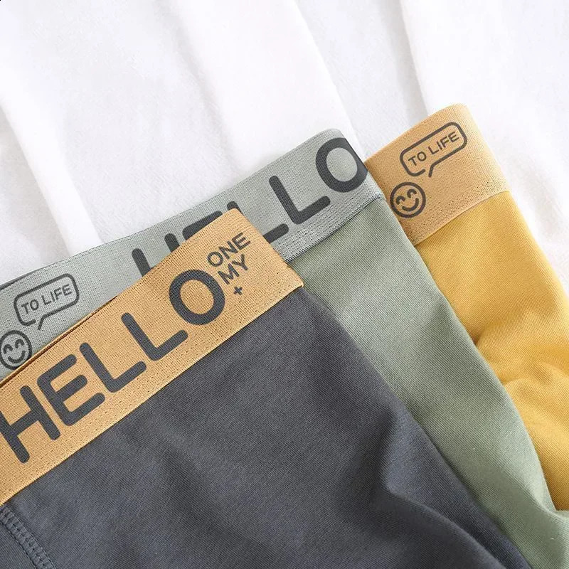 Mens Underwear Soft Cotton Boxing Comfortable Breathable Youth Sports 240822