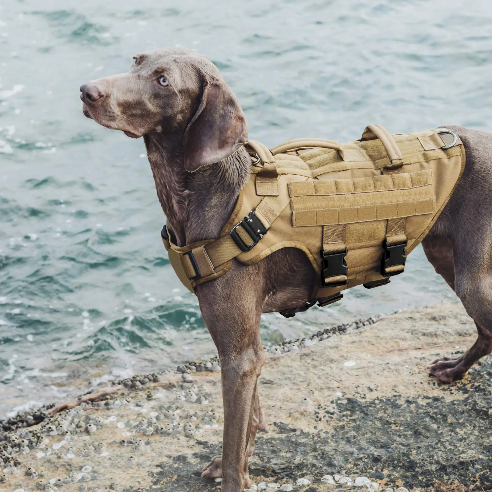 Strap K9 Tactical Traction Rope Vest Type Medium Large Chest Back Walking Dog pet collars collar designer dog harness