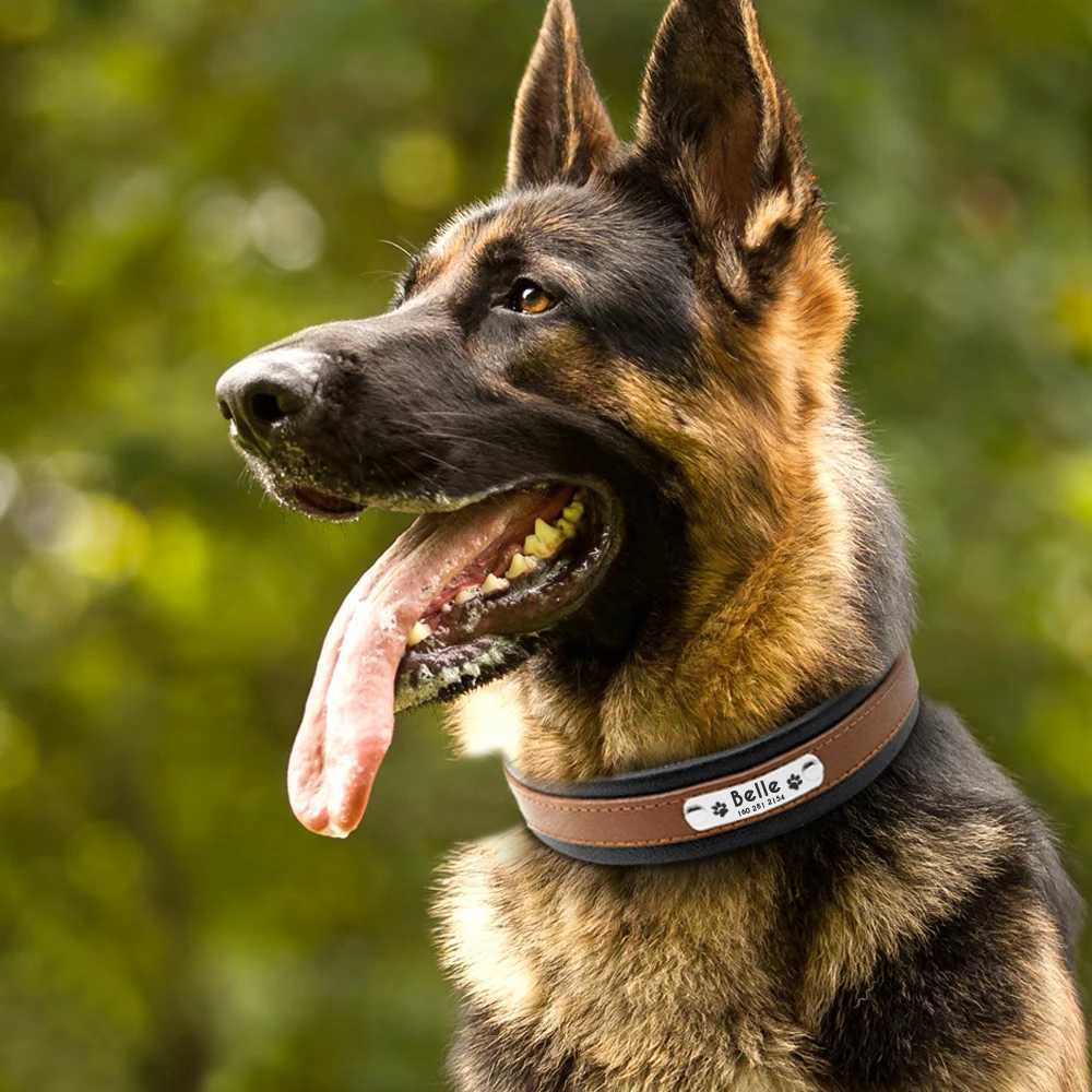 Big dog collar genuine leather dog collar personalized pet name ID collar pad customized for medium-sized big dogsX240823