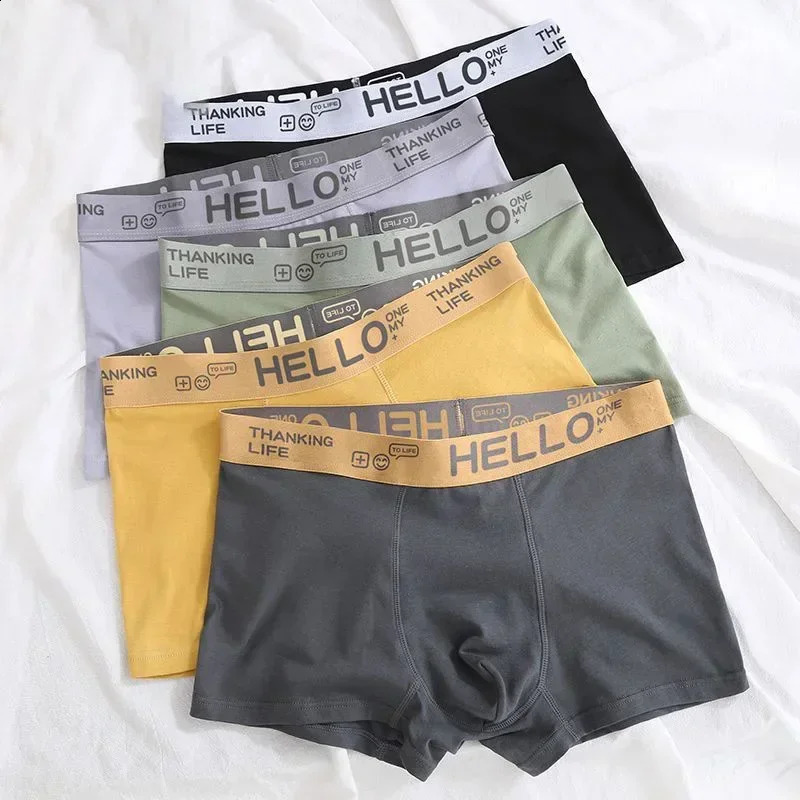 Mens Underwear Soft Cotton Boxing Comfortable Breathable Youth Sports 240822