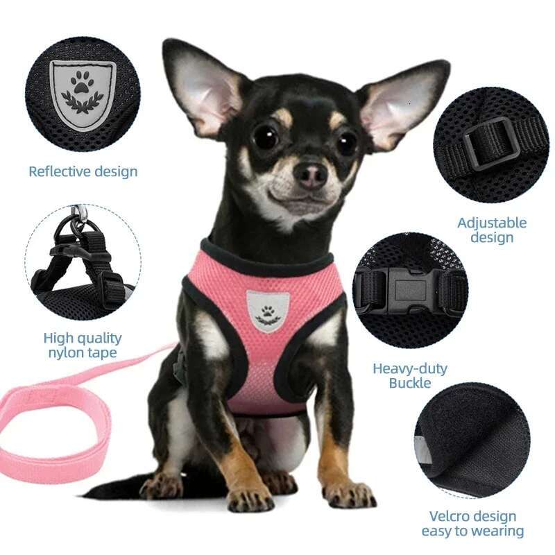 Cat Harness Vest Walking Lead Leash For Puppy Dogs Collar Polyester Adjustable Mesh Dog Harness For Small Medium Pet Accessories 47C