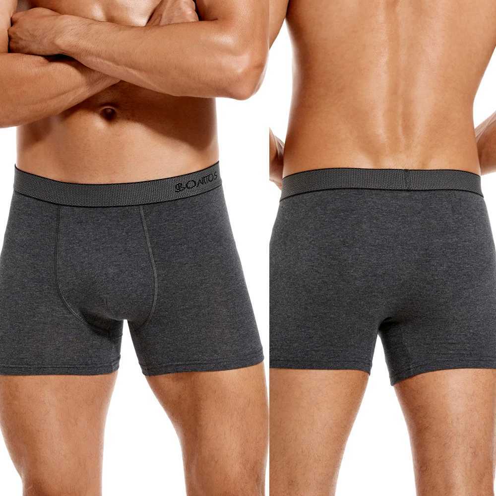 Boxers Mens Boxing Shorts Mens Brand Underwear Mens Underwear Mens Cotton Sexy Mens Calecon Family W241223