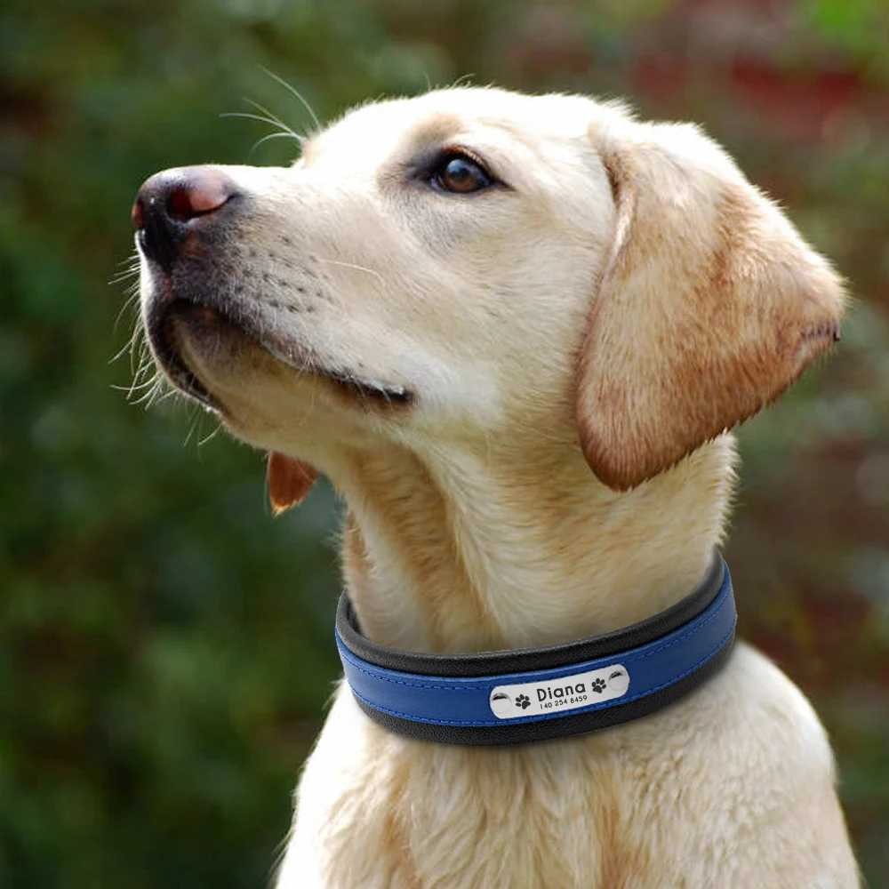 Big dog collar genuine leather dog collar personalized pet name ID collar pad customized for medium-sized big dogsX240823
