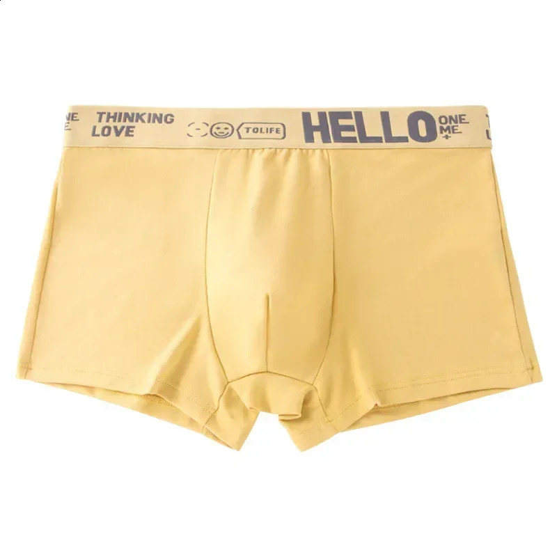 Mens Underwear Soft Cotton Boxing Comfortable Breathable Youth Sports 240822