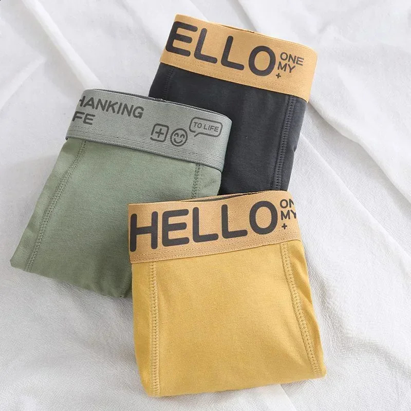 Mens Underwear Soft Cotton Boxing Comfortable Breathable Youth Sports 240822