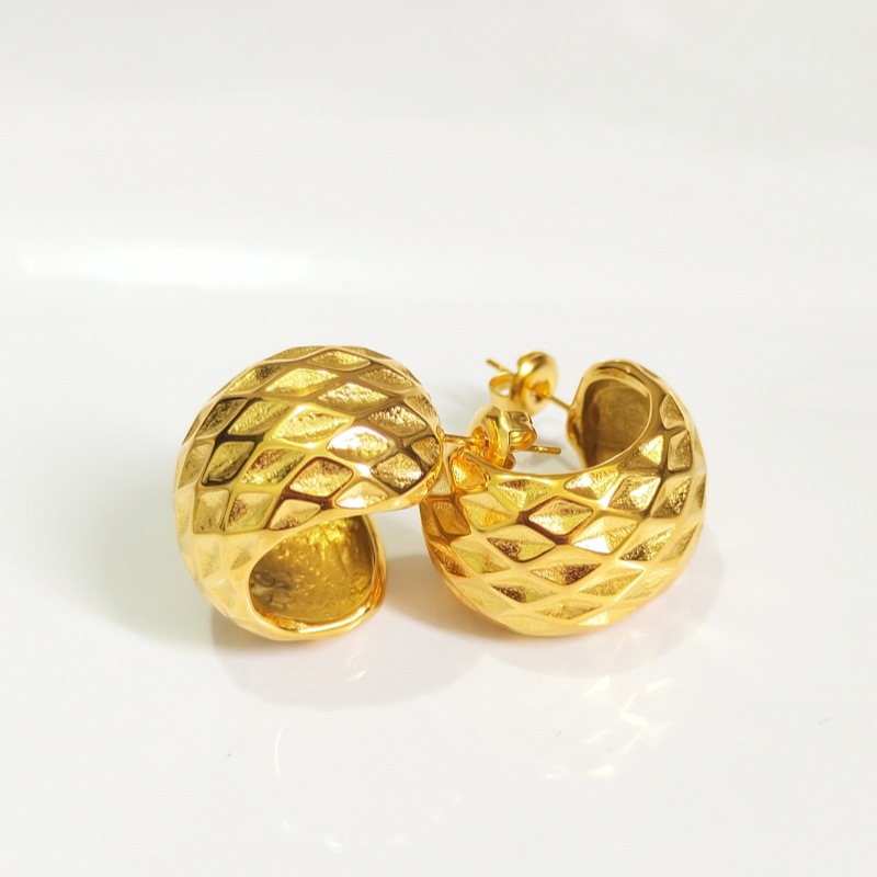 Designer earring Europe and the United States ins stainless steel simple wild earrings geometric irregular earrings earrings jewelry