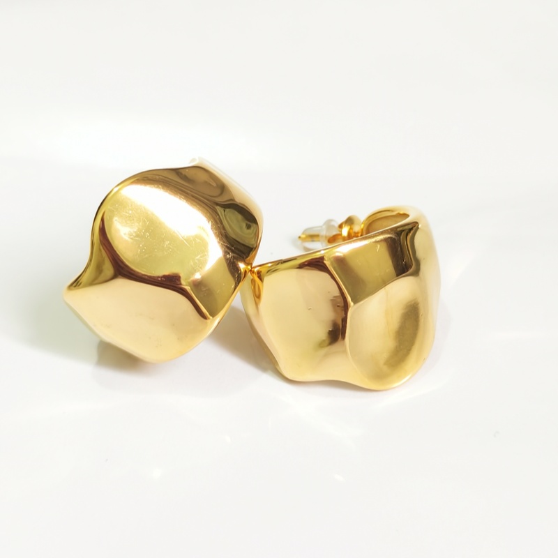 Designer earring Europe and the United States ins stainless steel simple wild earrings geometric irregular earrings earrings jewelry