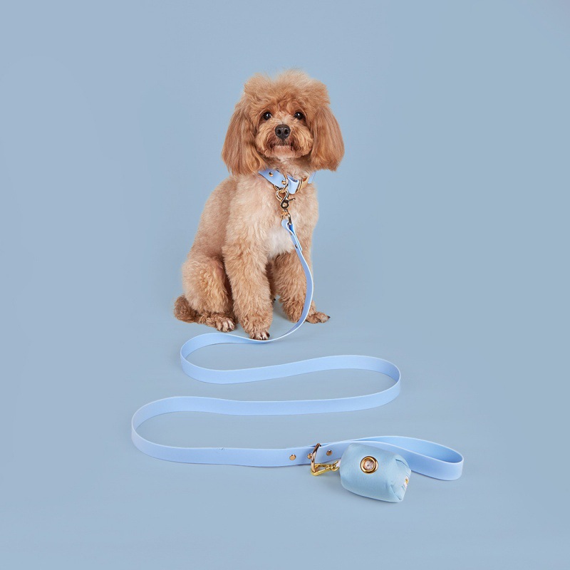 Adjustable Pet Collars Leads Dog Collar And Lead Matching Set With A Poop Bag Holder For Small Medium Pets