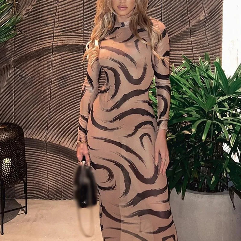 Women Summer Leopard Print Mesh Dress Streetwear Gauze Sexy O-neck Long Sleeve See-through Slim Holiday Party Dresses 240823