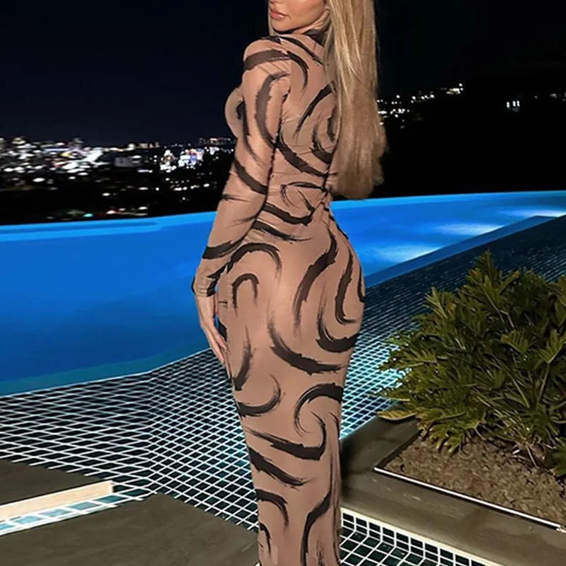 Women Summer Leopard Print Mesh Dress Streetwear Gauze Sexy O-neck Long Sleeve See-through Slim Holiday Party Dresses 240823