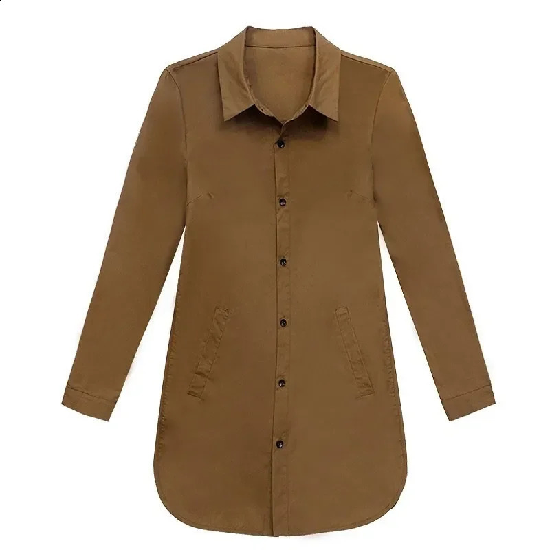 Long Style Women Spring Autumn Chiffon Blouses Shirts Lady Casual Long Sleeve Turn-down Collar Blusas Tops K1 240823