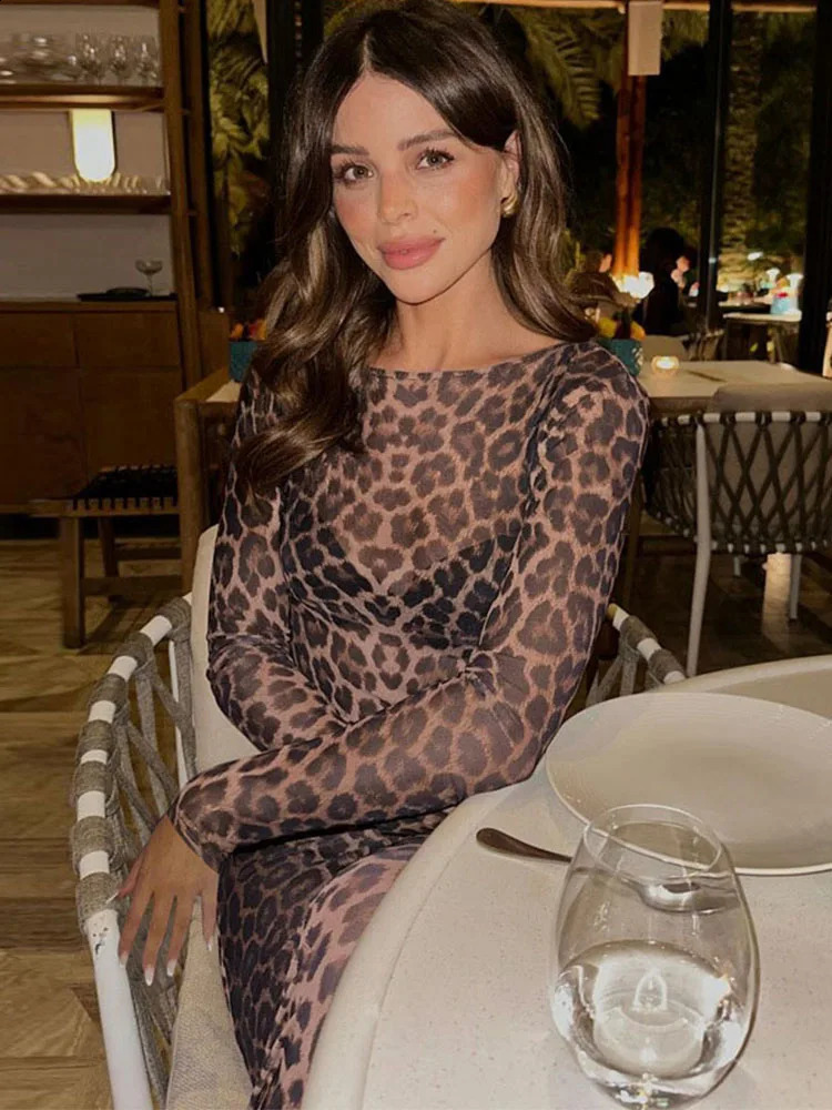 Women Summer Leopard Print Mesh Dress Streetwear Fashion Sexy O-neck Long Sleeve See-through Slim Holiday Party Dresses 240823