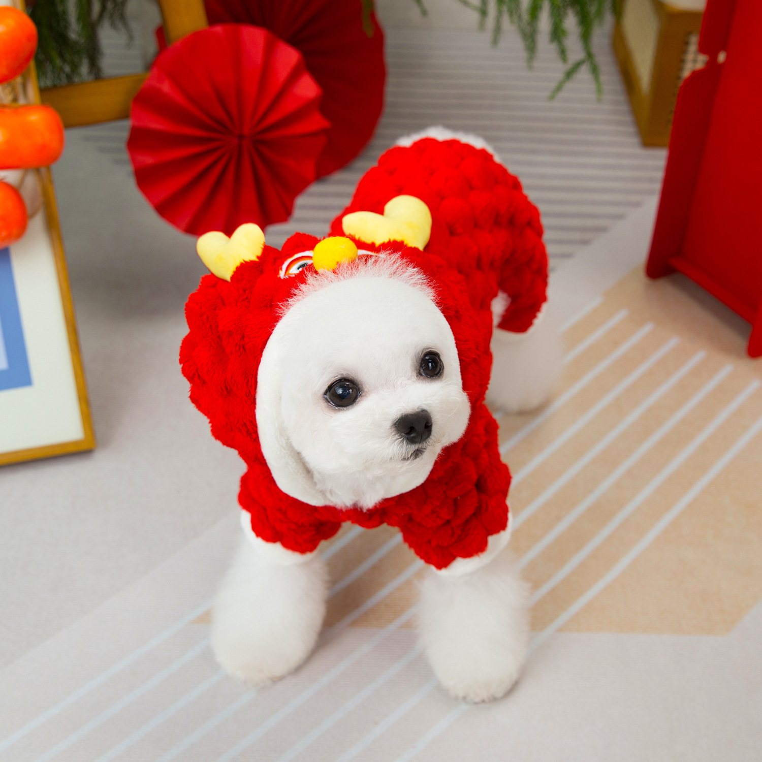 Autumn and Winter Dog Clothes Pet Clothing Double-sided Cat Small Dragon Veet Coat