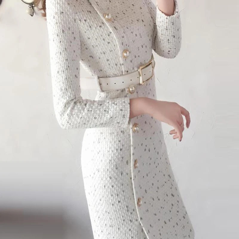 Women Round Neck Dot Print Tweed Dress Korean Long Sleeve Bow Knee-Length Dress With Belt French Runway Elegant Party Dress 240824