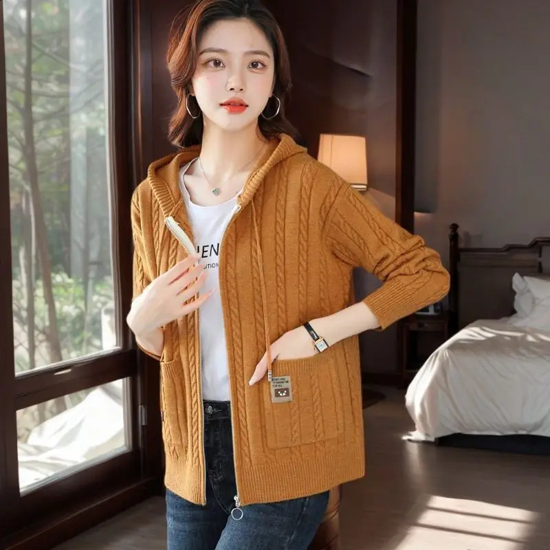 Spring and Autumn Sweaters Hooded Knitwear Fashionable Style Slimming and Loose Zipper Knitted Cardigan Jacket 240824