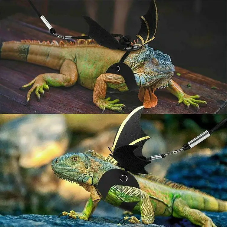 Adjustable Reptile Lizard Gecko Bearded Dragon Harness and Leash for Outdoor Pet Chameleon Supplies 240824